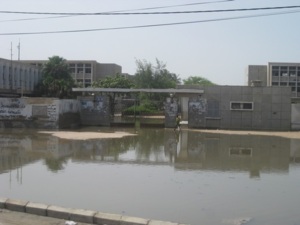 Les quartiers de Khare Yalla, Darou, Cité Niakhe, Médina Courses et Diaminar inondés: Les populations crient au secours (Audio) Les quartiers de Khare Yalla, Darou, Cité Niakhe, Médina Courses et Diaminar inondés: Les populations crient au secours (Audio)