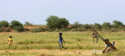 Un économiste remet en question un projet agroindustriel de la BM dans le Nord Un économiste remet en question un projet agroindustriel de la BM dans le Nord