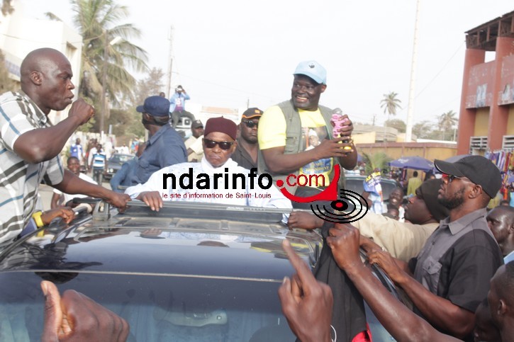 WADE accueilli en Roi: Saint-Louis dans l’effervescence. Regardez ! WADE accueilli en Roi: Saint-Louis dans l’effervescence. Regardez !