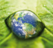 http://www.ndarinfo.com/Saint-Louis-premiere-ville-africaine-hote-d-un-Conseil-d-administration-de-Wetlands-international_a5709.html