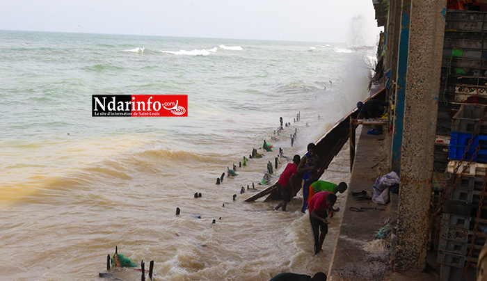 VIDÉO - Le Quai de Pêche de Guet-Ndar en danger ! VIDÉO - Le Quai de Pêche de Guet-Ndar en danger !