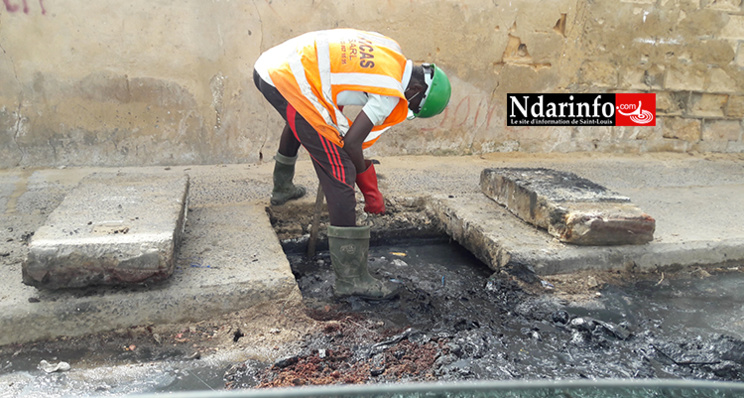 Saint-Louis : Enfin, le curage ! Saint-Louis : Enfin, le curage !