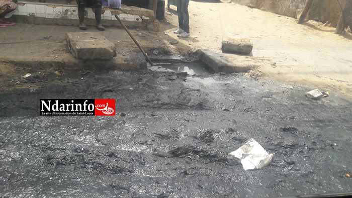 Saint-Louis : Enfin, le curage ! Saint-Louis : Enfin, le curage !