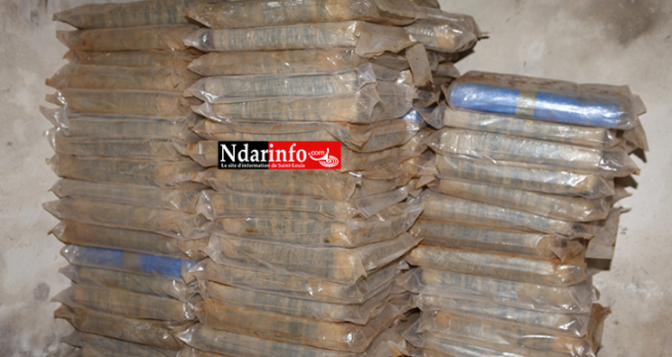 Saint-Louis : 133,5 kilos de chanvre indien saisis par la Douane. Regardez ! Saint-Louis : 133,5 kilos de chanvre indien saisis par la Douane. Regardez !