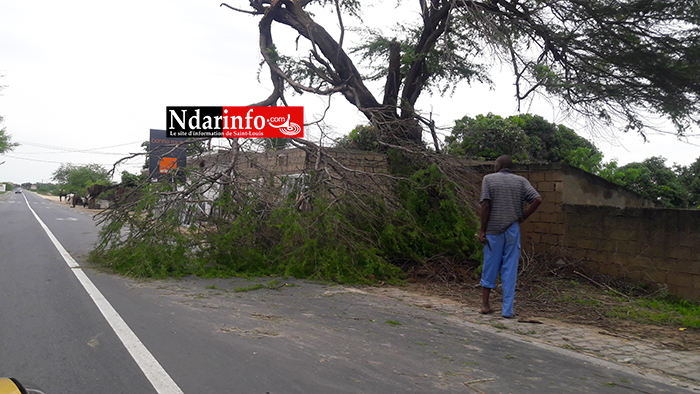 TEMPÊTE: d’importants dégâts à Saint-Louis (photos)