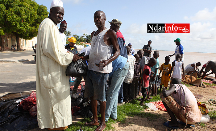 L'Imam Cheikh Ahmed Tidjane DIOP remettant symboliquement un sachet de viande à un bénéficiaire