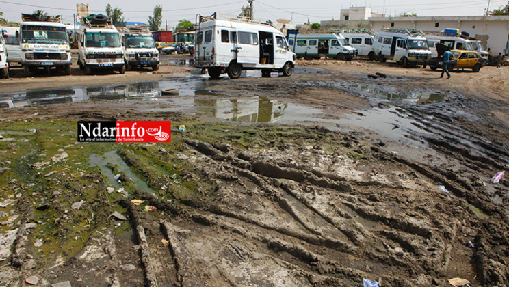 Saint-Louis - Le Garage BANGO inondé: des chauffeurs en chômage croupissent dans la misère. Regardez ! Saint-Louis - Le Garage BANGO inondé: des chauffeurs en chômage croupissent dans la misère. Regardez !
