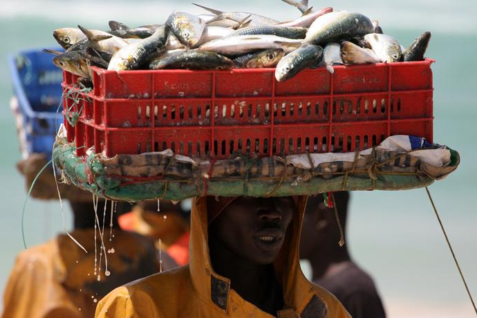 Le Sénégal parmi les pays les plus performants du continent