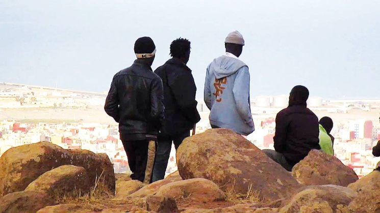 Festival du film documentaire de Saint-Louis : 23 pays attendus à la 3e édition. Festival du film documentaire de Saint-Louis : 23 pays attendus à la 3e édition.