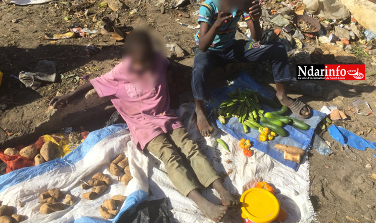 Saint-Louis : immersion dans le marché des talibés Saint-Louis : immersion dans le marché des talibés