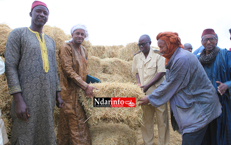 SENHUILE offre des bottes de paille aux éleveurs de Ngnith et de Ronkh. SENHUILE offre des bottes de paille aux éleveurs de Ngnith et de Ronkh.