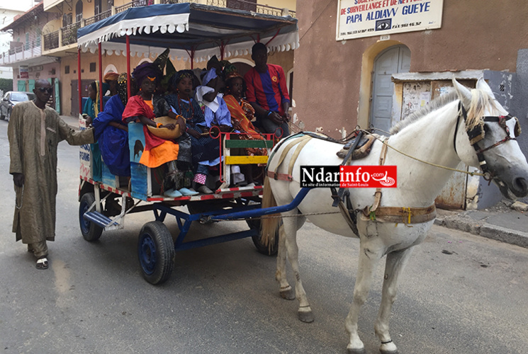 Saint-Louis : Voici le FANAL des enfants (vidéo) Saint-Louis : Voici le FANAL des enfants (vidéo)