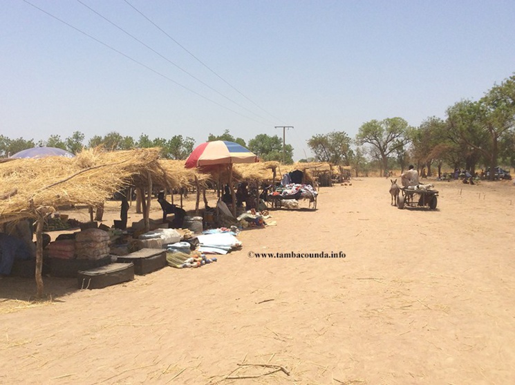 Makacolibantan: un berger qui a ramassé un fusil dans la brousse, s’est tiré une balle dans la main. Makacolibantan: un berger qui a ramassé un fusil dans la brousse, s’est tiré une balle dans la main.