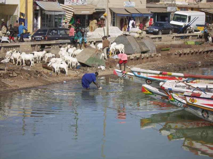 Météo: une canicule attendue à Podor et Saint-Louis Météo: une canicule attendue à Podor et Saint-Louis