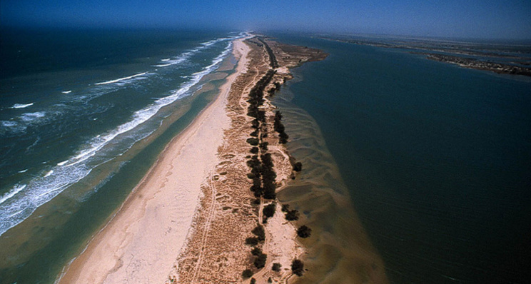 Saint-Louis: un organisme met en garde contre les risques de disparition de la Langue de Barbarie Saint-Louis: un organisme met en garde contre les risques de disparition de la Langue de Barbarie
