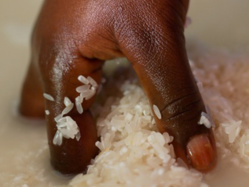 Alioune Sarr: « Il n y a jamais eu de hausse du prix du riz »