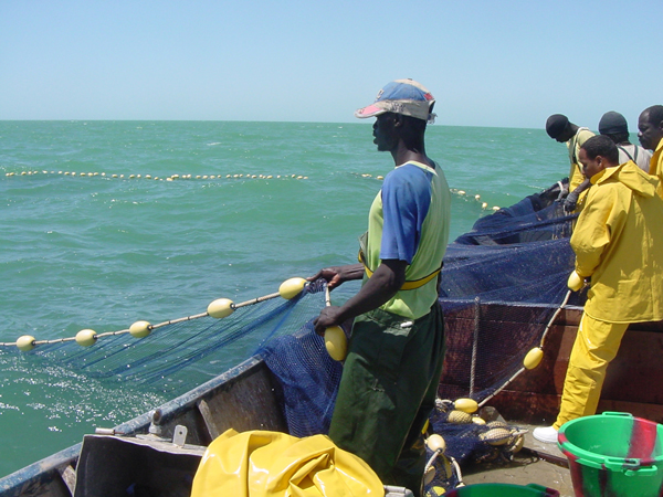 Vaste opération de recensement des pêcheurs sénégalais établis en Mauritanie