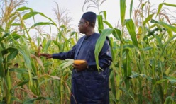 Pré-campagne : Macky reprend ses «tournées économiques» Pré-campagne : Macky reprend ses «tournées économiques»