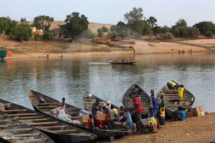 Fleuve Sénégal : les pays riverains veulent appliquer les 3 piliers de Ramsar