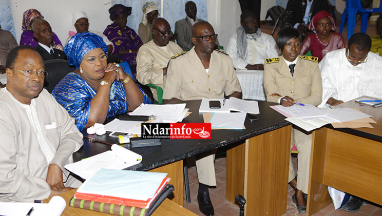 Aliments de bétail : vers la vulgarisation de « l’herbe à éléphant » Aliments de bétail : vers la vulgarisation de « l’herbe à éléphant »