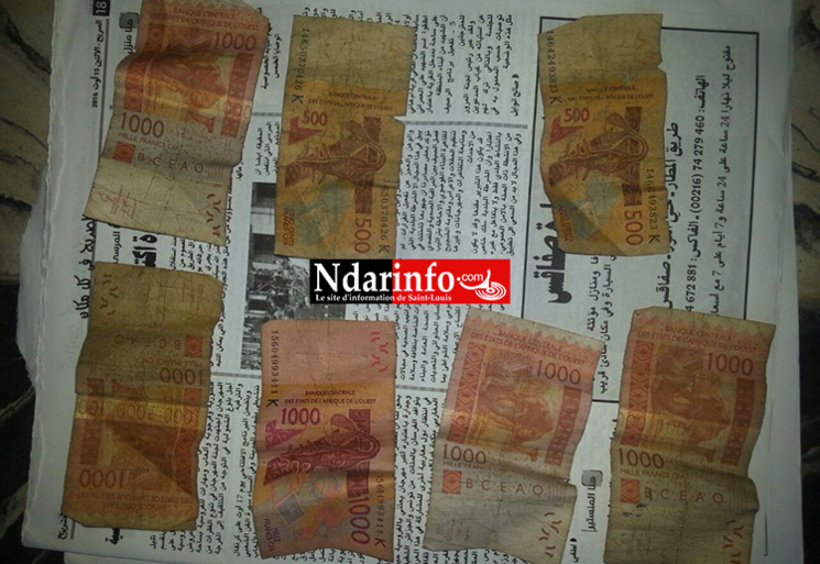 Saint-Louis - Fin de cavale d’un « mystérieux » dealer : les grosses surprises d’une perquisition chez un caïd, employeur d’enfants ( photos )