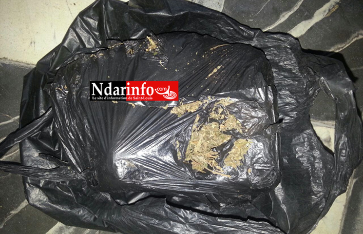 Saint-Louis - Fin de cavale d’un « mystérieux » dealer : les grosses surprises d’une perquisition chez un caïd, employeur d’enfants ( photos )