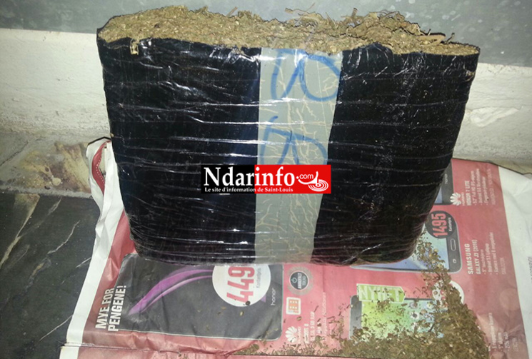 Saint-Louis - Fin de cavale d’un « mystérieux » dealer : les grosses surprises d’une perquisition chez un caïd, employeur d’enfants ( photos ) Saint-Louis - Fin de cavale d’un « mystérieux » dealer : les grosses surprises d’une perquisition chez un caïd, employeur d’enfants ( photos )