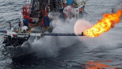 Kosmos Energy espère sur le bloc de Saint-Louis pour effacer ses pertes
