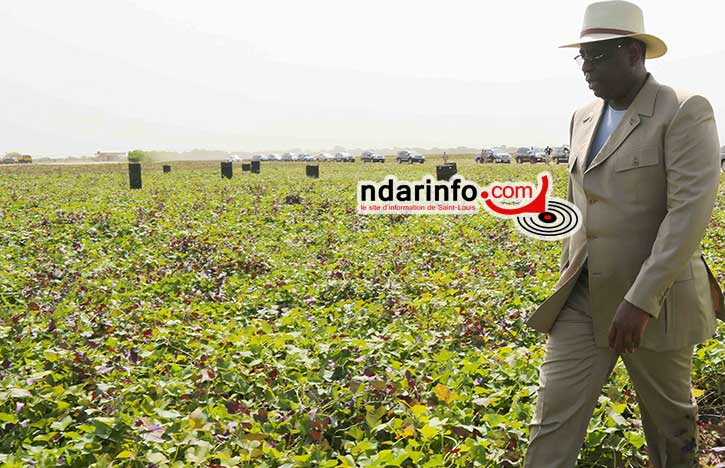 Tournée économique : le programme de la visite de Macky SALL à Podor.