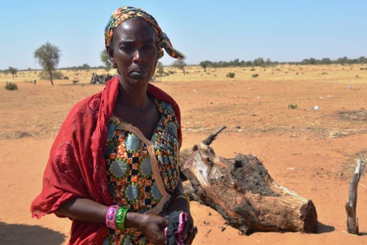 Combat des femmes pour leurs droits à la terre : cas des femmes de Ndiael contre Senhuile