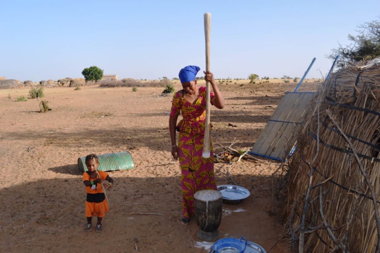 Combat des femmes pour leurs droits à la terre : cas des femmes de Ndiael contre Senhuile Combat des femmes pour leurs droits à la terre : cas des femmes de Ndiael contre Senhuile