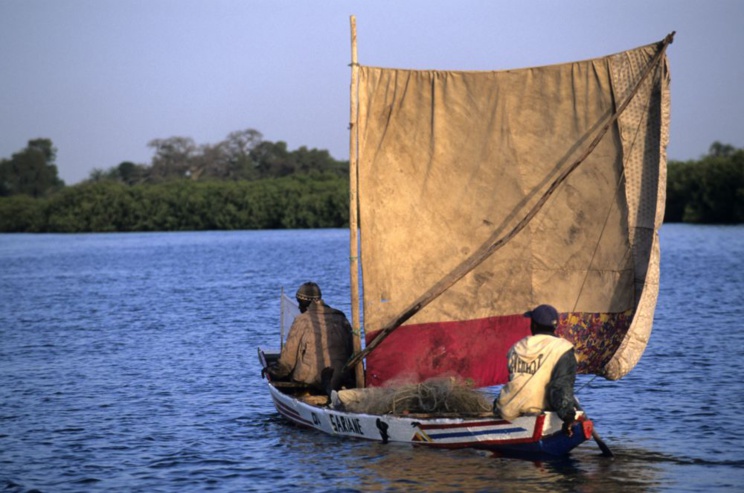 Ile à Morphil : Bientôt la fin de l’enclavement Ile à Morphil : Bientôt la fin de l’enclavement