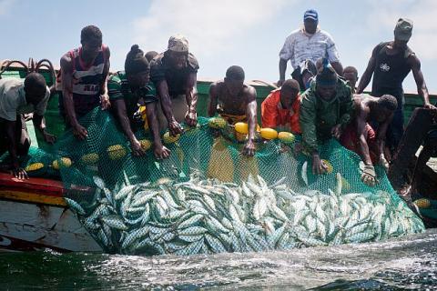Banjul : les accords de pêche attendus avec "intérêt" par des pêcheurs et mareyeurs sénégalais