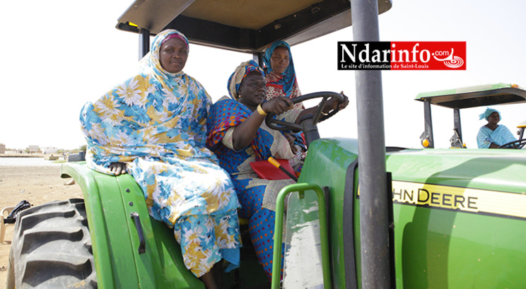 Des productrices sur des moisonneuses batteuses offertes par le PRACAS