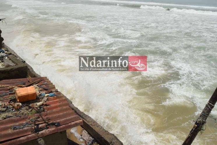 (Photos) Situation catastrophique sur la Langue de Barbarie : des rues de Santhiba, Guet-Ndar et Goxu Mbacc, envahies par la mer 
