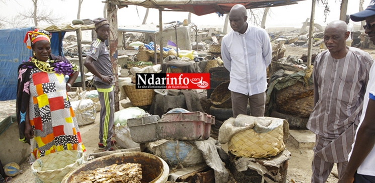 Lutte contre l’insécurité : Mansour FAYE éclaire le site de transformation de Guet-Ndar Lutte contre l’insécurité : Mansour FAYE éclaire le site de transformation de Guet-Ndar