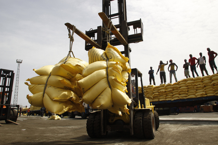 L’Isra met en garde contre les dangers du riz importé