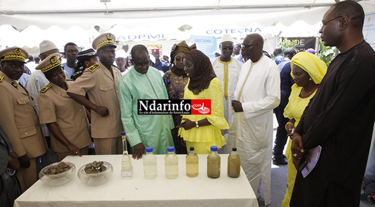 Le ministre Abdoulaye Diouf SARR dans le stand de l'ONAS sur la Place Faidherbe