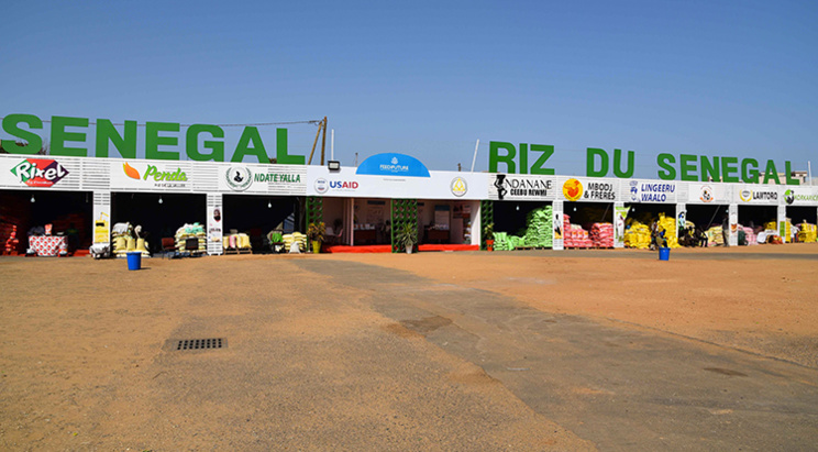 Le Riz local sénégalais au cœur de la FIARA 2017 ( photos ) Le Riz local sénégalais au cœur de la FIARA 2017 ( photos )