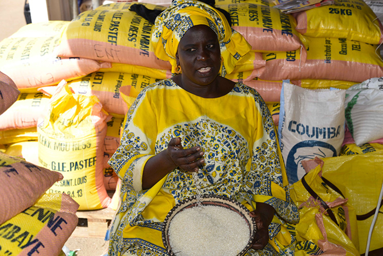 Le Riz local sénégalais au cœur de la FIARA 2017 ( photos ) Le Riz local sénégalais au cœur de la FIARA 2017 ( photos )
