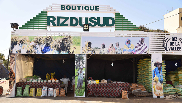 Le Riz local sénégalais au cœur de la FIARA 2017 ( photos ) Le Riz local sénégalais au cœur de la FIARA 2017 ( photos )