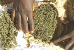 Mauritanie : 6 Sénégalais arrêtés avec 1,5 tonne de drogue