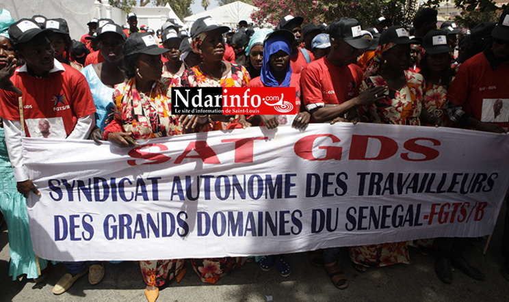 Journée mondiale des travailleurs : la procession syndicale de Saint-Louis ( vidéo - photos )