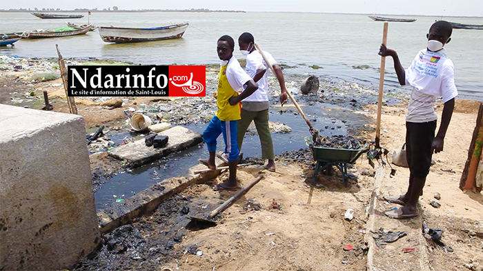 LANGUE DE BARBARIE : vers l’éradication d’au moins 80% des dépôts irréguliers de déchets (vidéo)