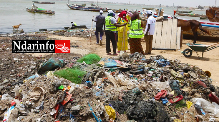 LANGUE DE BARBARIE : vers l’éradication d’au moins 80% des dépôts irréguliers de déchets (vidéo) LANGUE DE BARBARIE : vers l’éradication d’au moins 80% des dépôts irréguliers de déchets (vidéo)