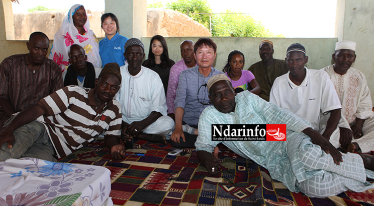 PODOR : l’expertise de la KOICA révolutionne la riziculture à PENDAO PODOR : l’expertise de la KOICA révolutionne la riziculture à PENDAO