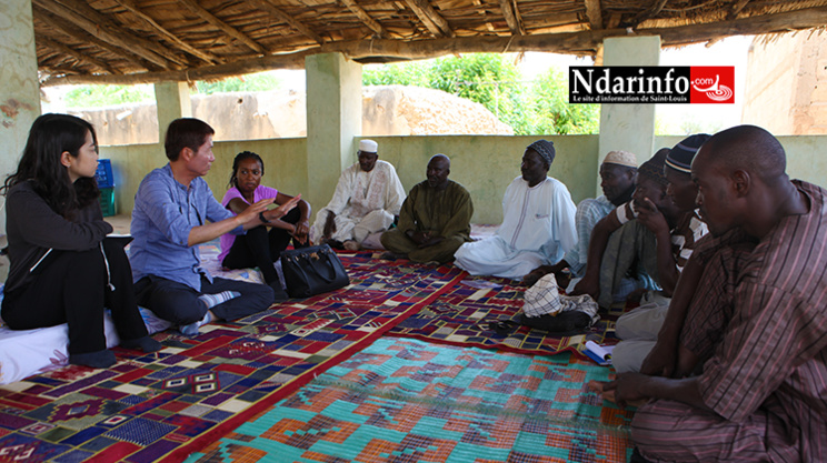 PODOR : l’expertise de la KOICA révolutionne la riziculture à PENDAO PODOR : l’expertise de la KOICA révolutionne la riziculture à PENDAO