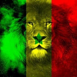 Un Sénégalais, une solution … Par Abdoul Magib DIOUF Un Sénégalais, une solution … Par Abdoul Magib DIOUF