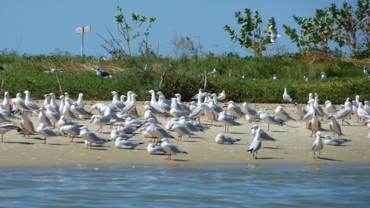 Financement de projets touristiques : 1,3 milliard de FCfa à 14 promoteurs Financement de projets touristiques : 1,3 milliard de FCfa à 14 promoteurs