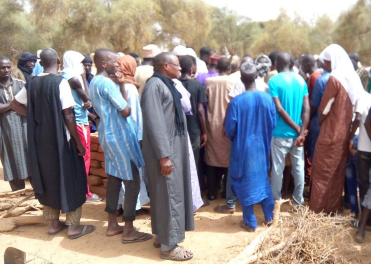 Demette en Deuil : Un grand Baobab est Tombé ! Demette en Deuil : Un grand Baobab est Tombé !